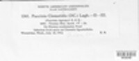 Image Associated With the Occurence